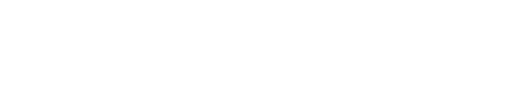 Doğruöz Bilişim Logo